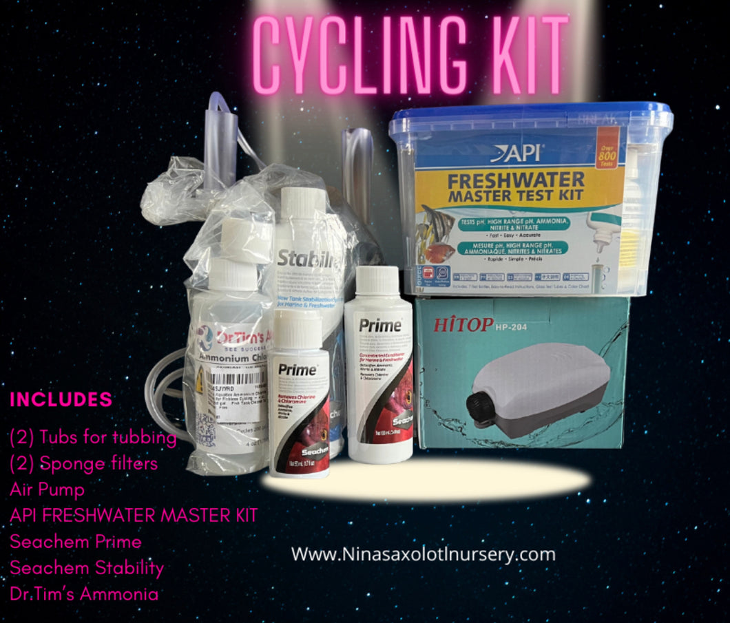 Cycling Kit Nina's Axolotl Nursery