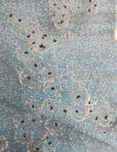 Load image into Gallery viewer, Axolotl Eggs Nina&#39;s Axolotl Nursery
